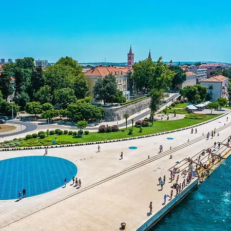 Elly Zadar